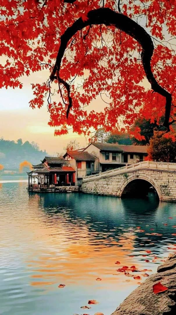 Rojo Asia