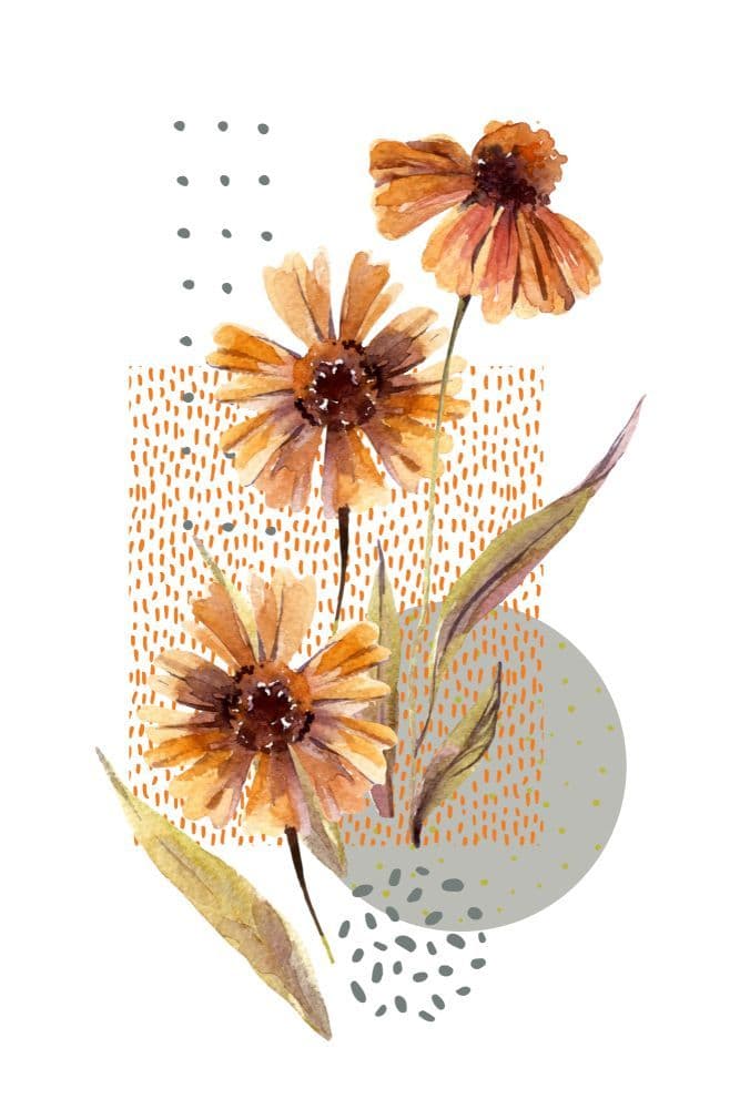 Flores y Circulos 01